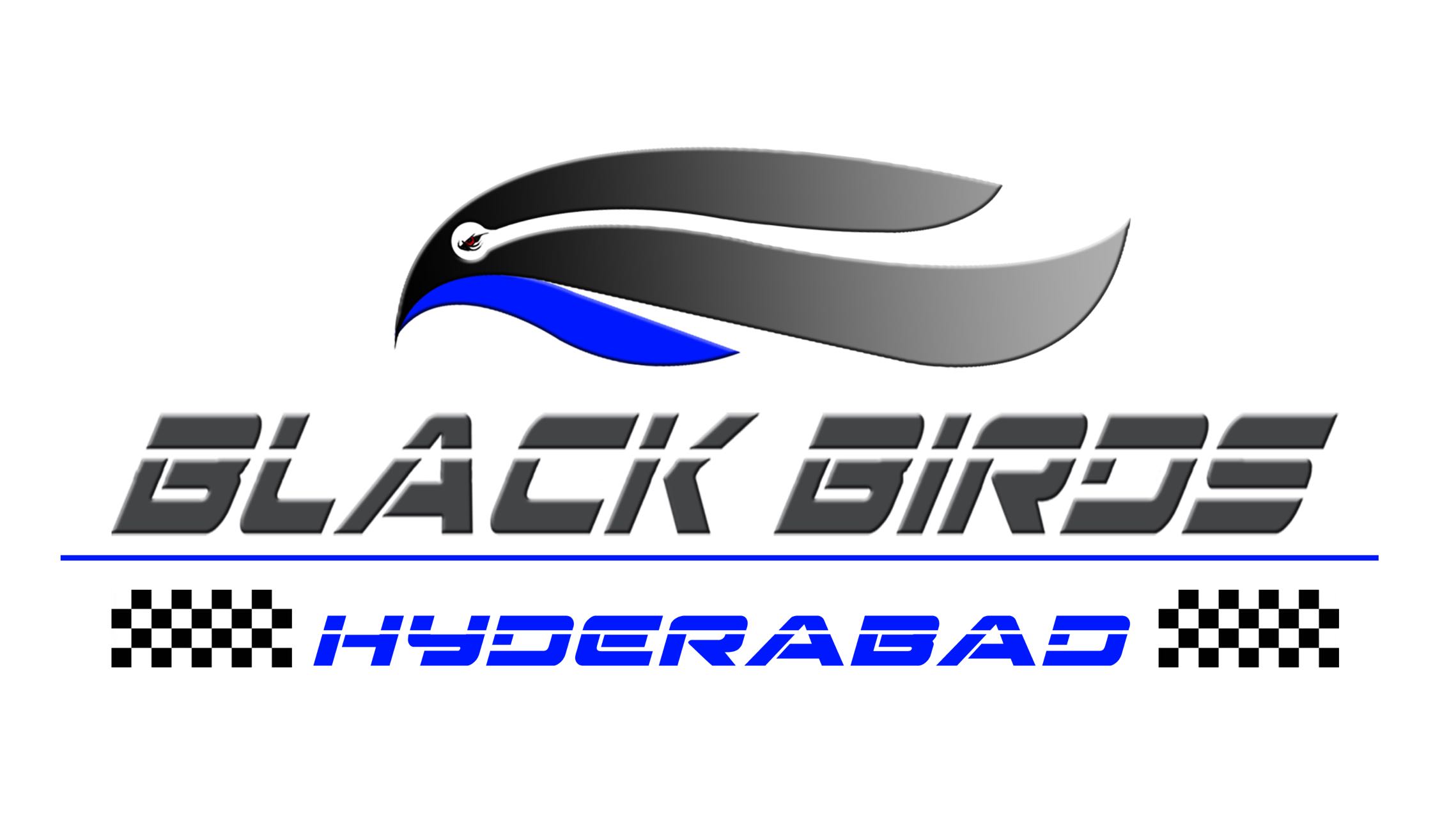 Hyderabad Blackbirds by MP