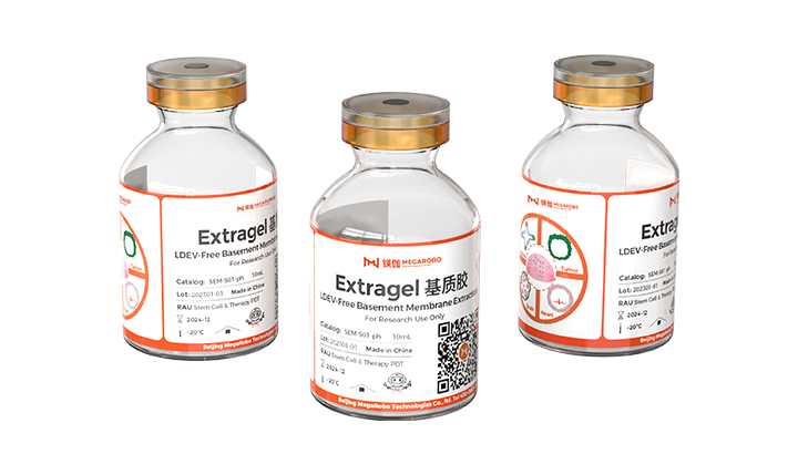 Extragel Matrix