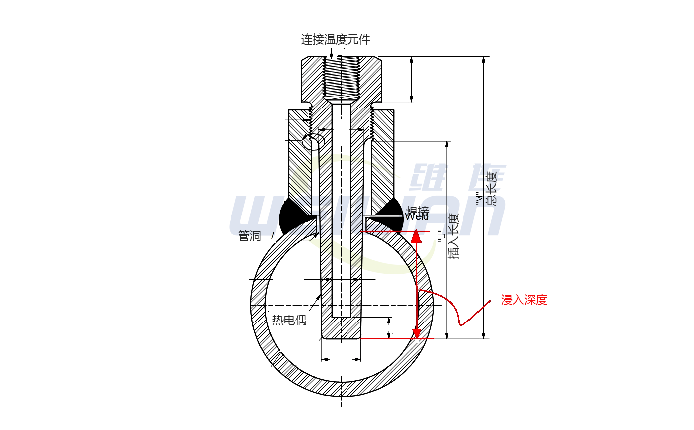 Insertion and immersion length of thermowell