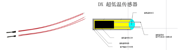 R01 series ultra -low temperature sensor