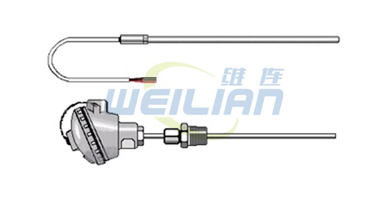 How does the RTD temperature sensor work