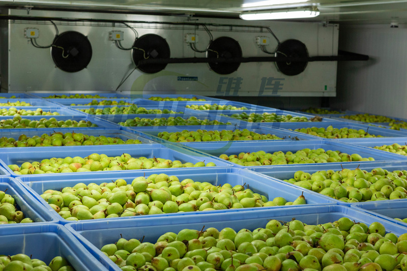 The temperature monitoring system ensures fruit warehousing refrigerated temperature conditions