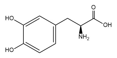 左旋多巴