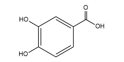 原儿茶酸