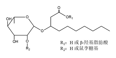 鼠李糖脂