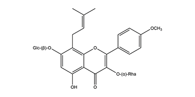 Epimedium Extract